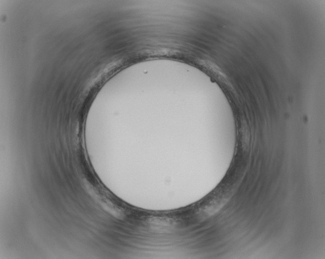 X0000062910490200602101835