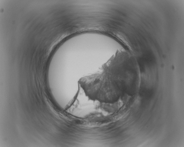 X0000062910491200602101835