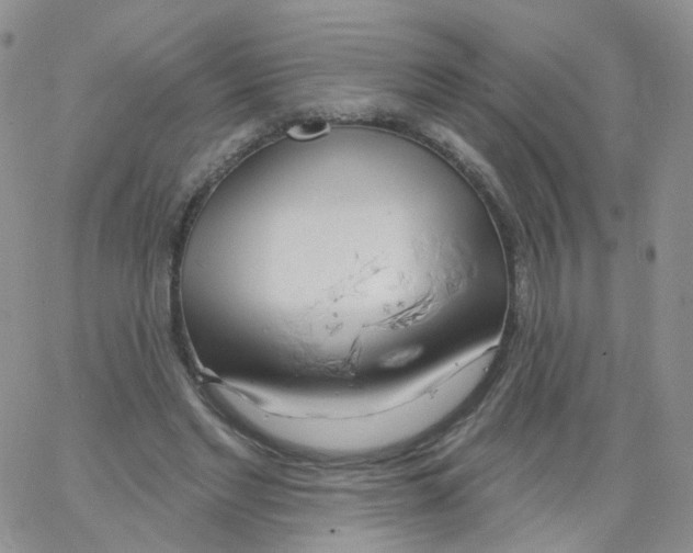 X0000062910493200602101835