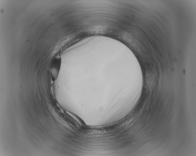 X0000062910494200602101835