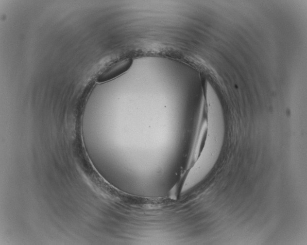 X0000062910496200602101835