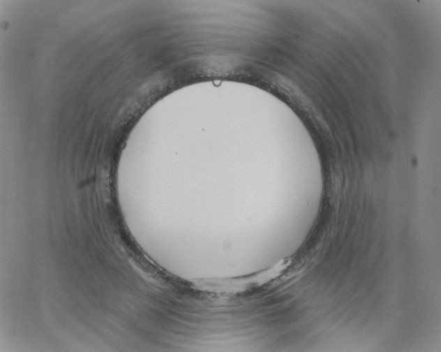 X0000062910497200602101835