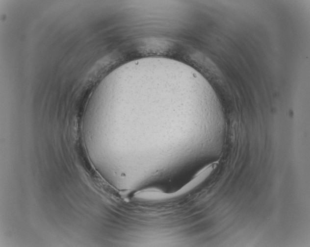 X0000062910498200602101835