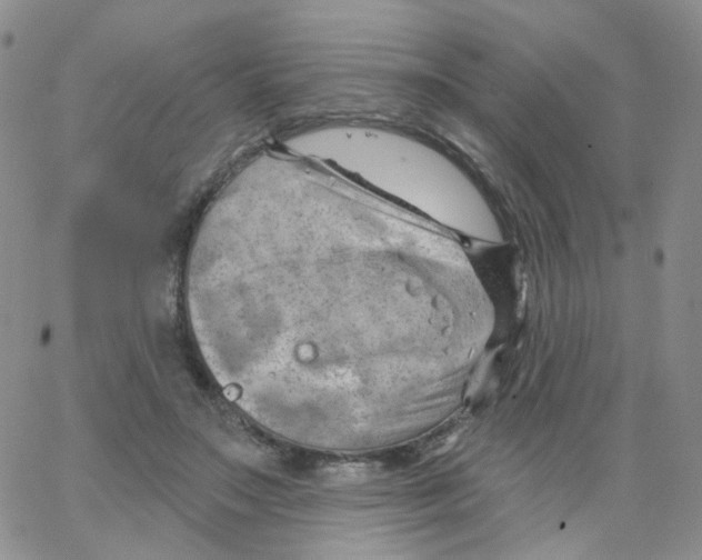 X0000062910499200602101835