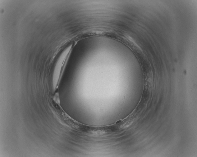 X0000062910500200602101835