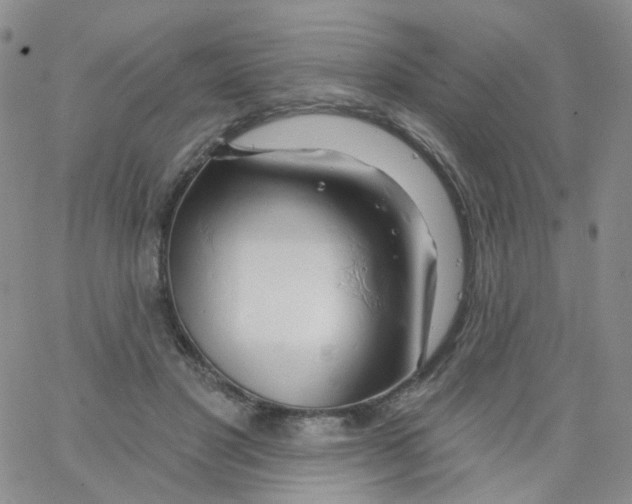 X0000062910501200602101835