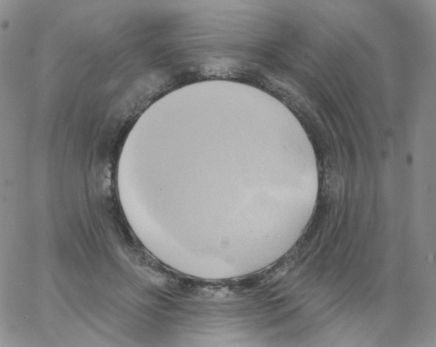 X0000062910502200602101835