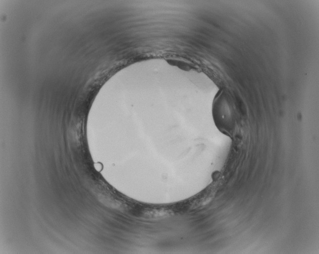 X0000062910503200602101835