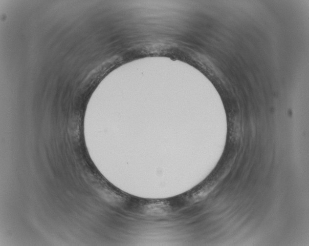 X0000062910505200602101835