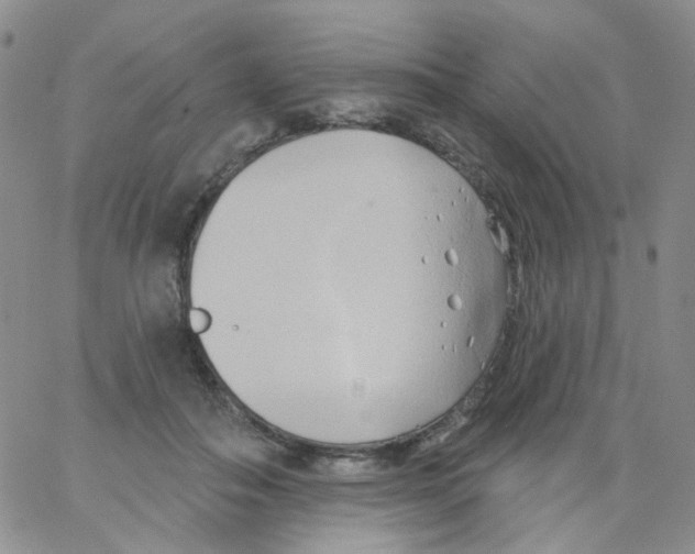 X0000062910506200602101835