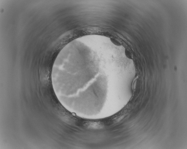 X0000062910507200602101835