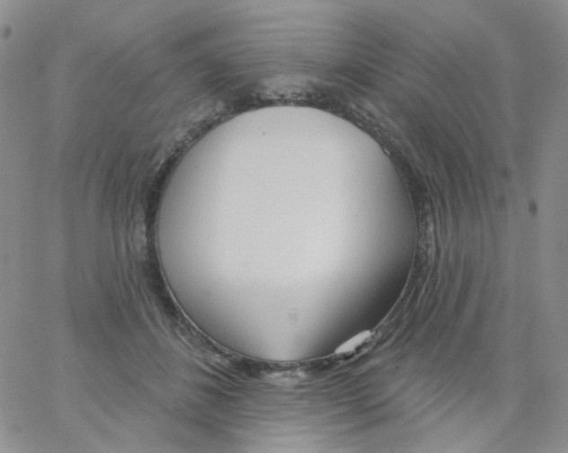 X0000062910508200602101835