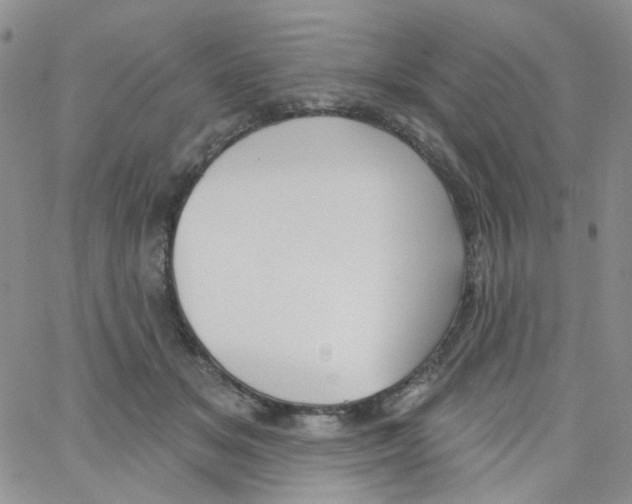 X0000062910509200602101835