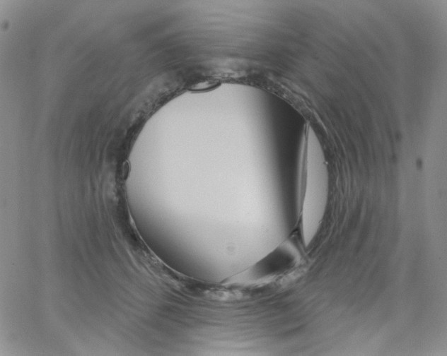 X0000062910512200602101835