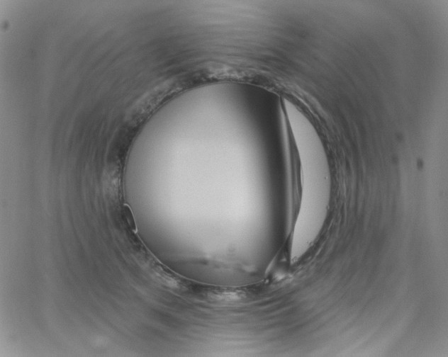 X0000062910513200602101835