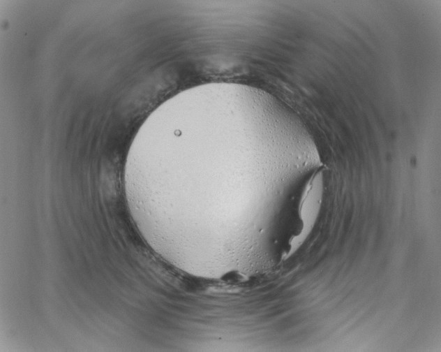 X0000062910515200602101835