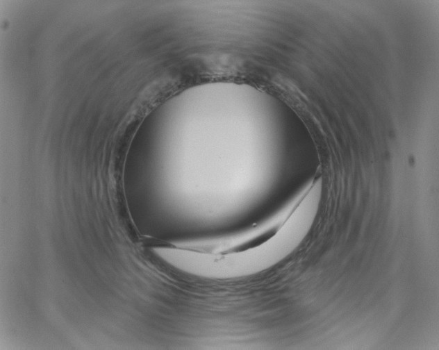 X0000062910516200602101835