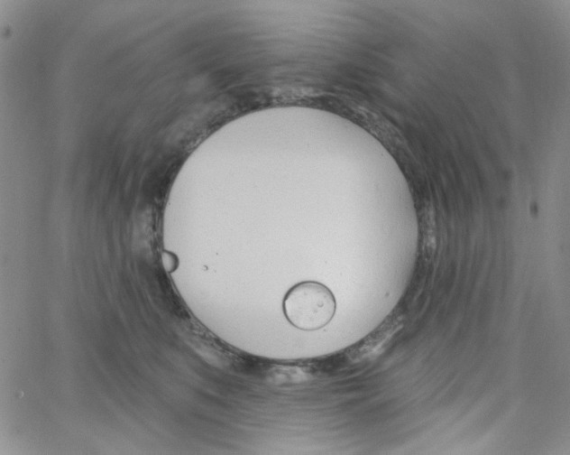 X0000062910519200602101835