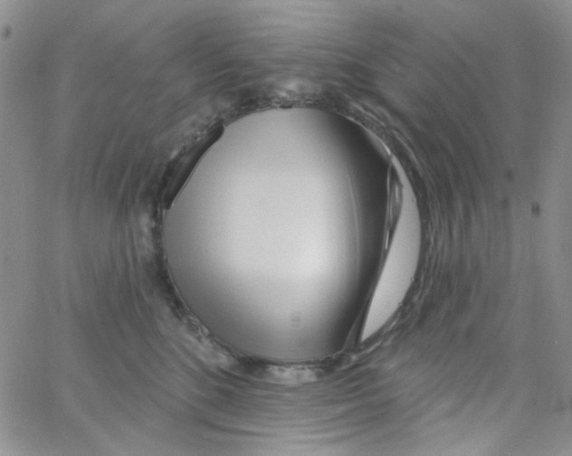 X0000062910520200602101835