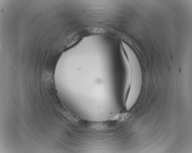 X0000062910521200602101835