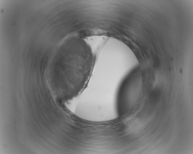 X0000062910523200602101835