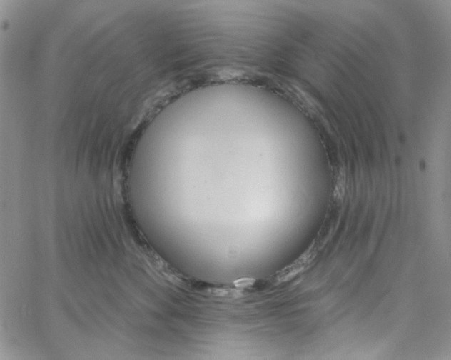 X0000062910524200602101835