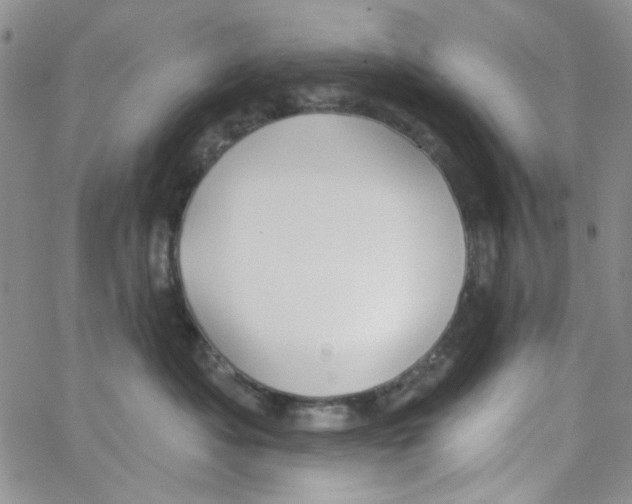 X0000062910525200602101835