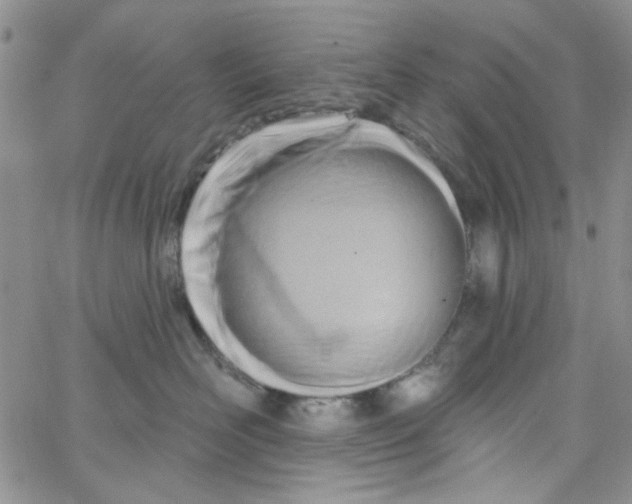 X0000062910526200602101835