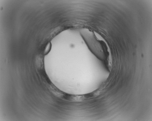 X0000062910527200602101835