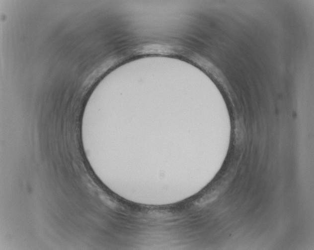 X0000062910529200602101834