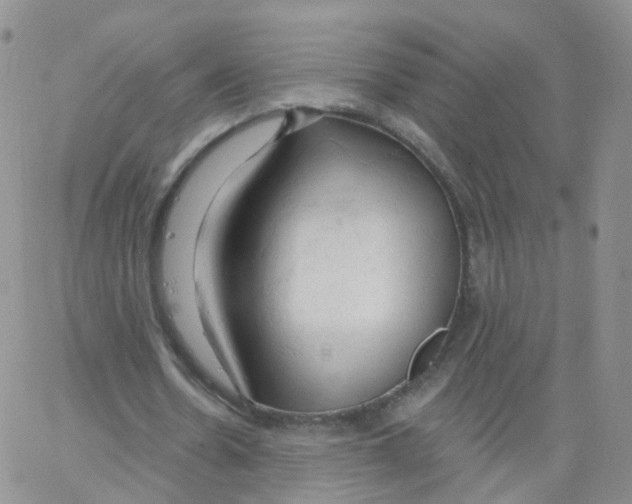 X0000062910530200602101834