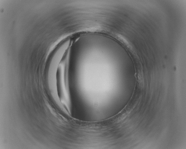 X0000062910532200602101834