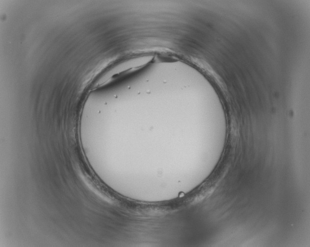 X0000062910533200602101834