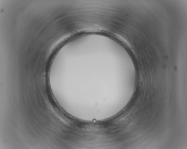 X0000062910535200602101834