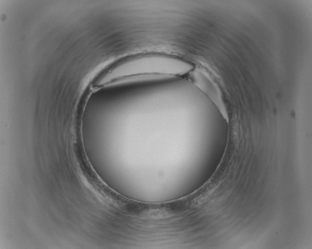 X0000062910536200602101834