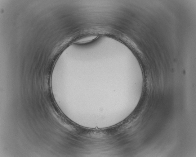 X0000062910537200602101834