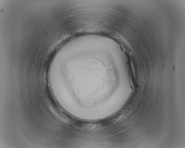 X0000062910542200602101834