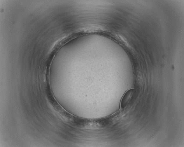 X0000062910543200602101834