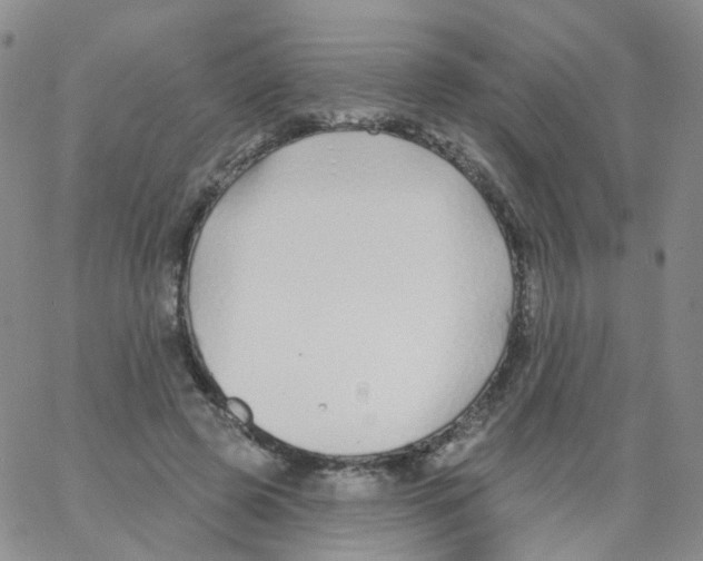 X0000062910545200602101834