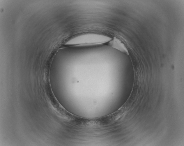 X0000062910546200602101834