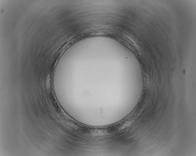 X0000062910549200602101834