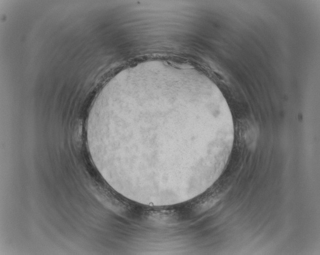 X0000062910550200602101834