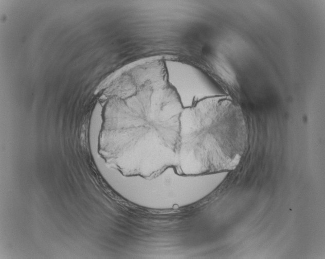 X0000062910553200602101834