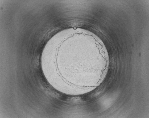 X0000062910554200602101834