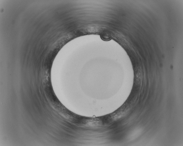 X0000062910555200602101835