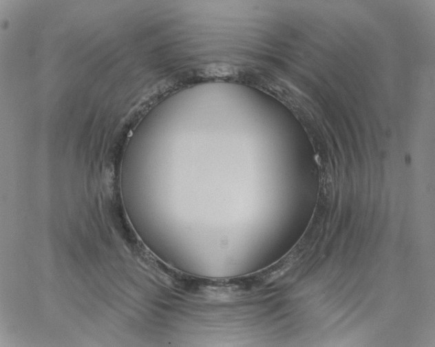 X0000062910556200602101835