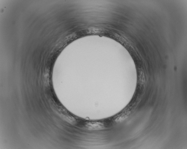 X0000062910557200602101835