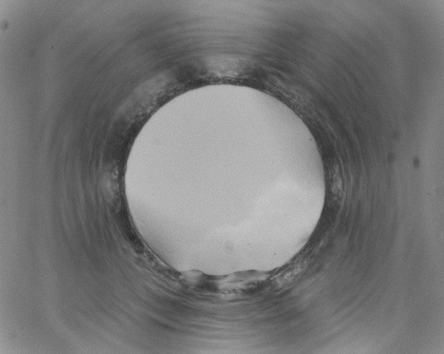 X0000062910559200602101835