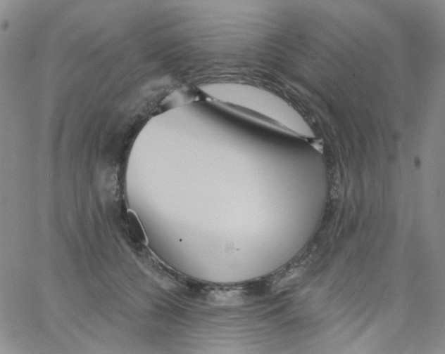 X0000062910560200602101835