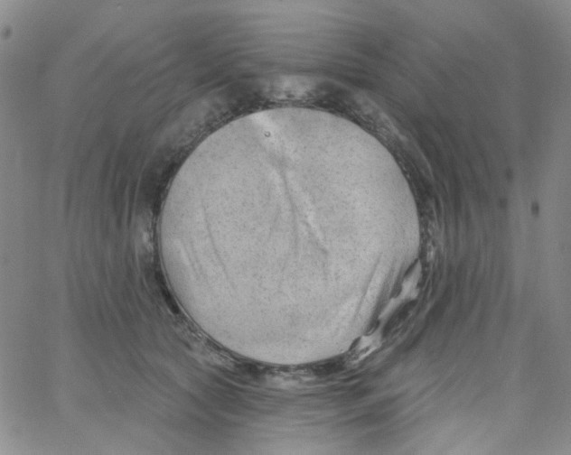 X0000062910561200602101835